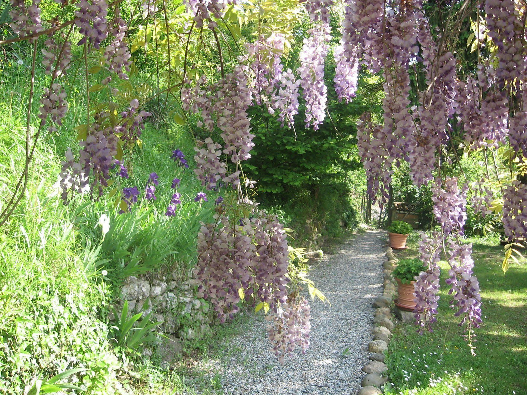 Agriturismo Cascina Tollu San Giacomo  Exterior foto
